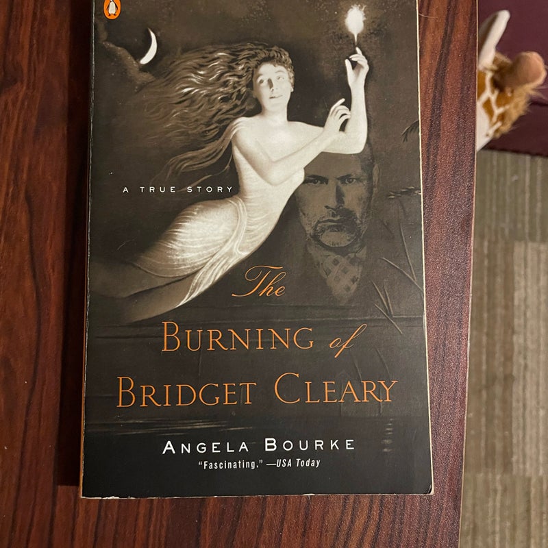 The Burning of Bridget Cleary