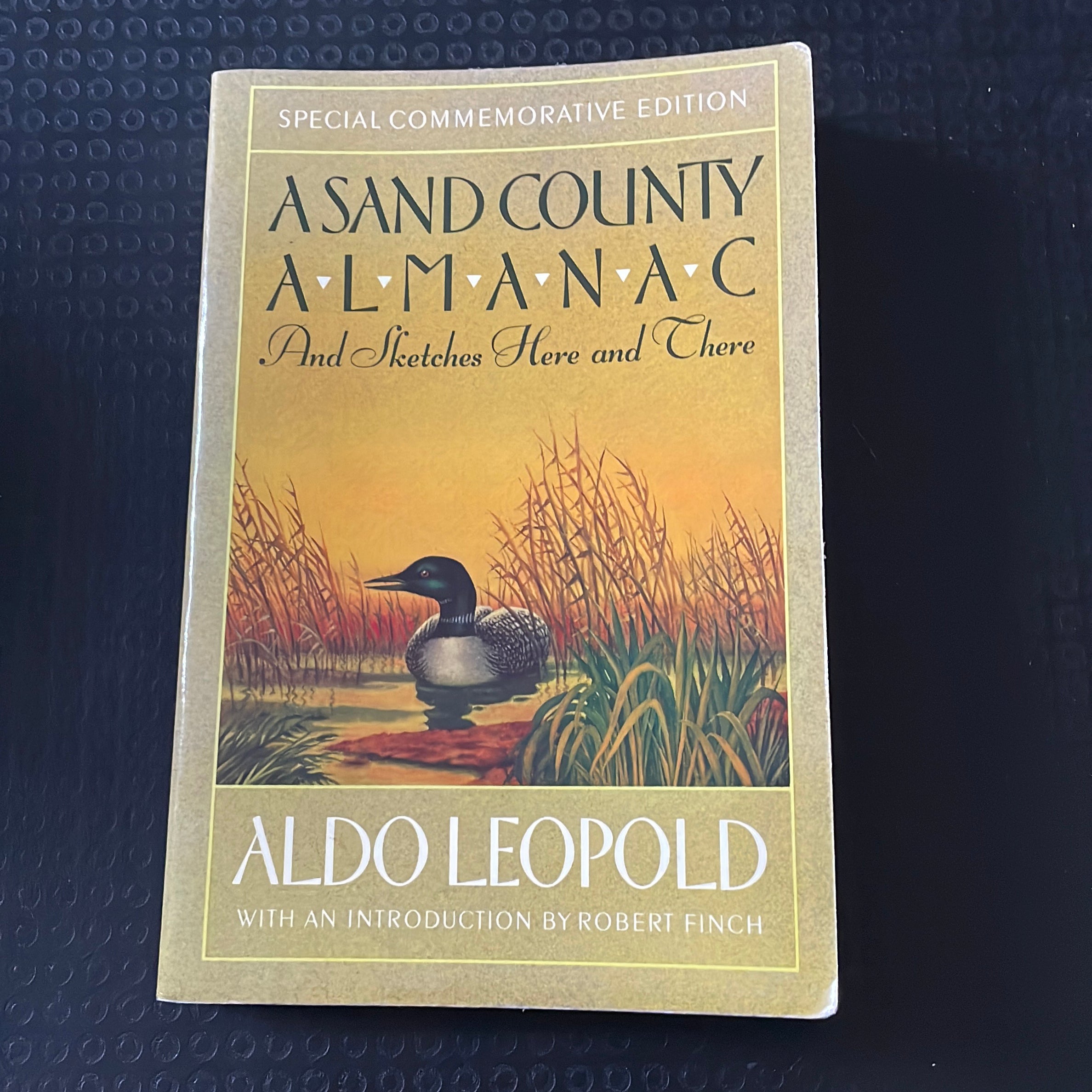 A Sand County Almanac