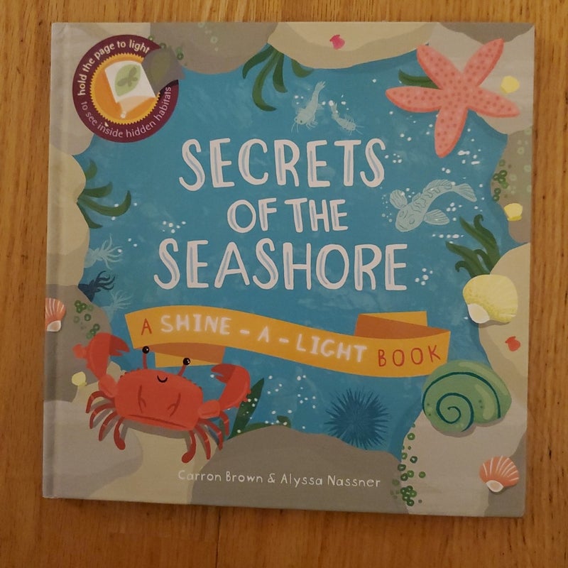 Secrets of the Seashore