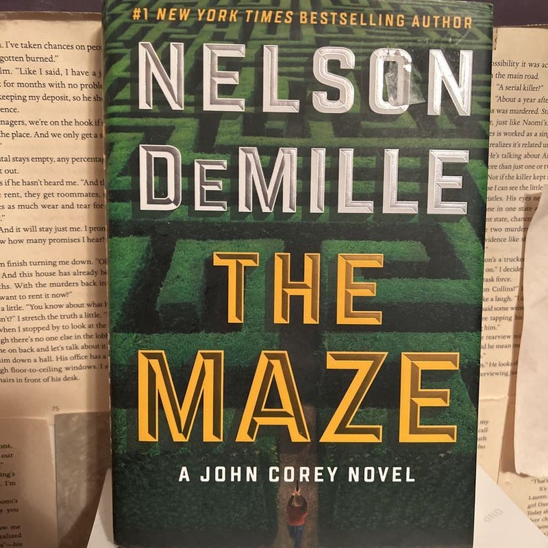 The Maze