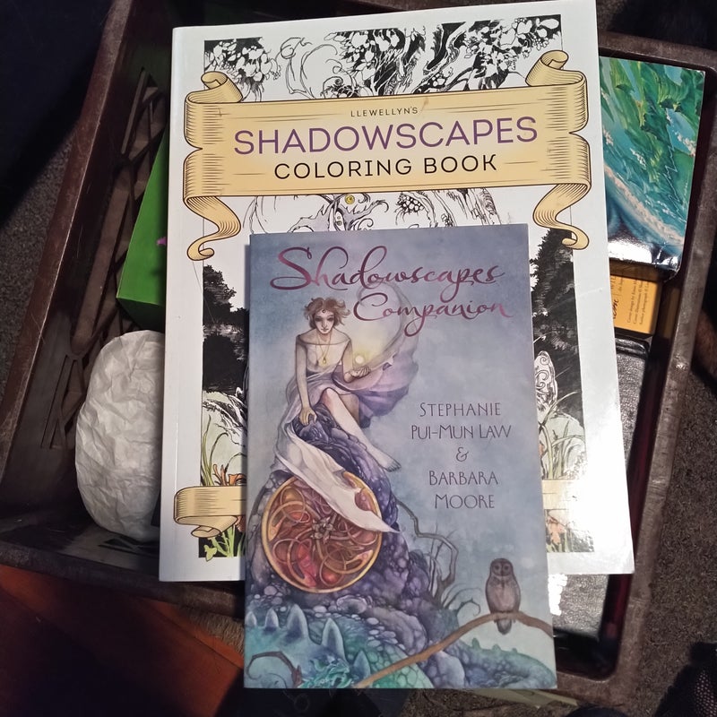 Llewellyn's Shadowscapes Coloring Book