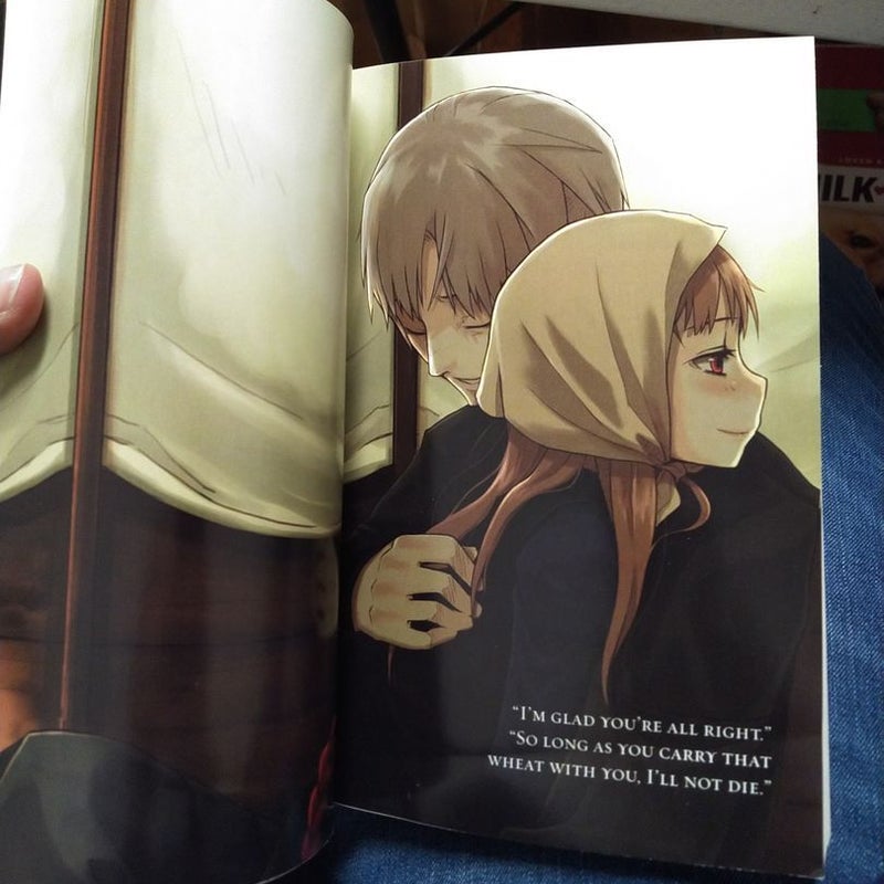 Spice and Wolf, Vol. 1 (light Novel)