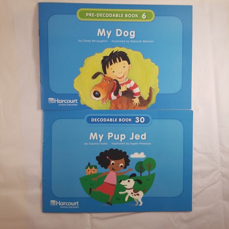 Lot of 4 decodable phonics readers