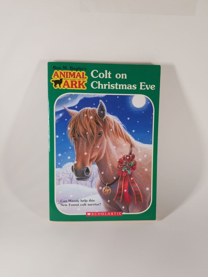 Colt on Christmas Eve