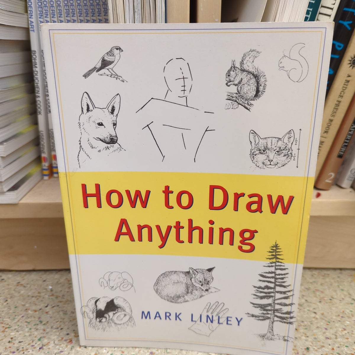 How to Draw Anything