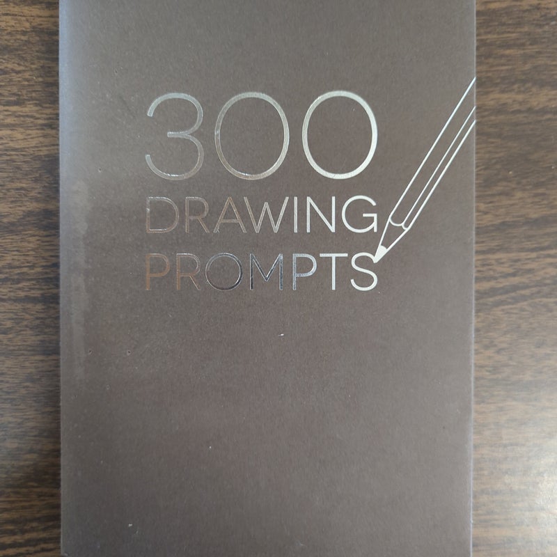 300 Drawing Prompts