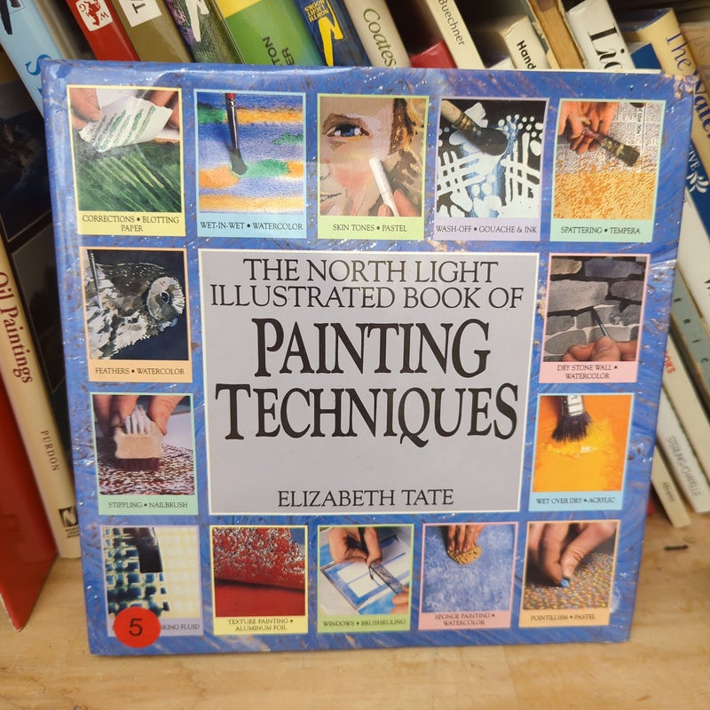 The Northern Light Illustrated Book of Painting techniques