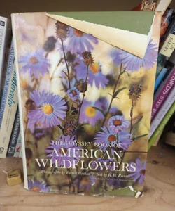 The Odyssey Book of American wildflowers