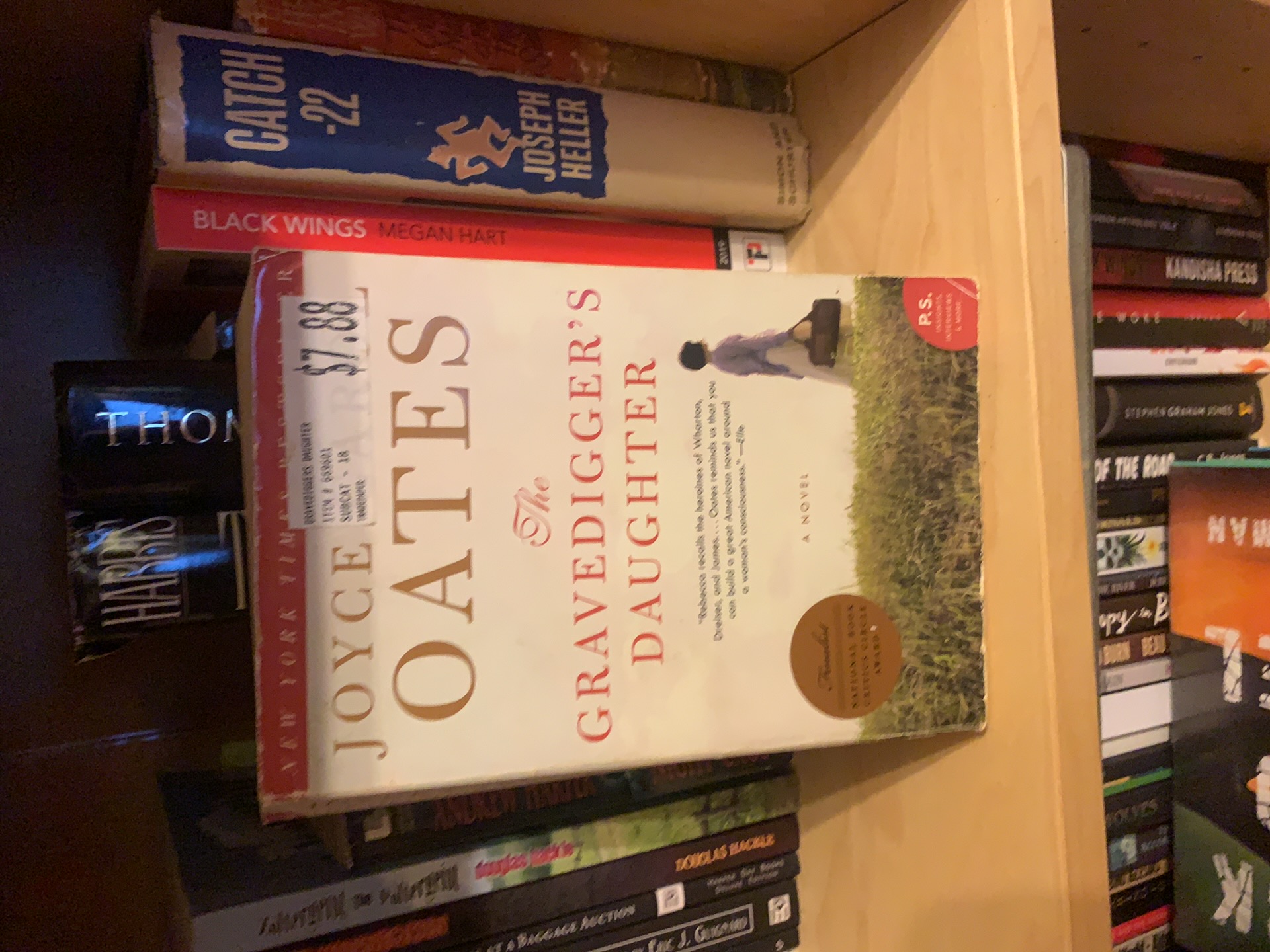 The Gravedigger's Daughter