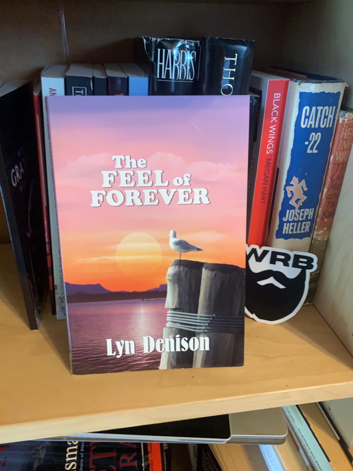 The Feel of Forever