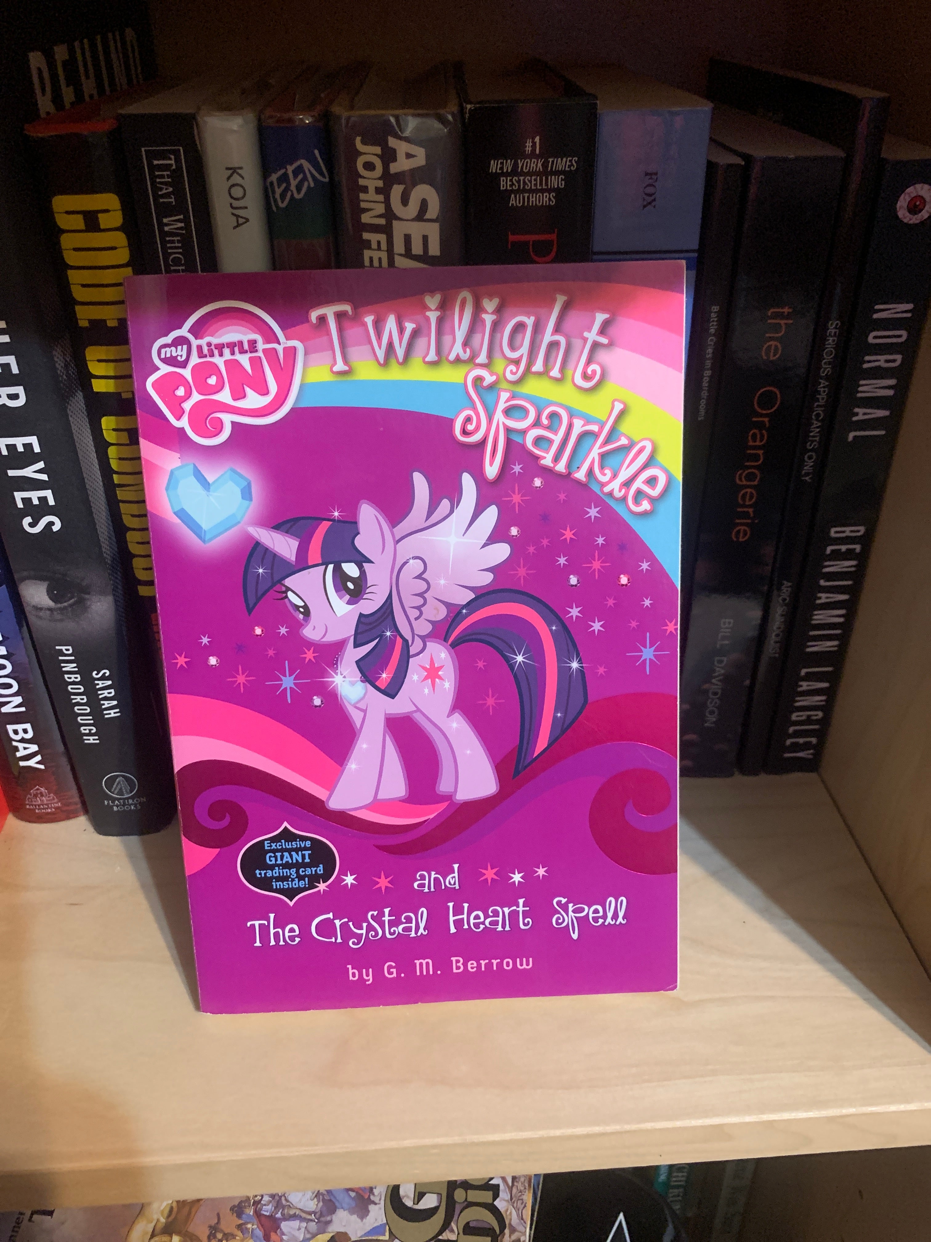 My Little Pony: Twilight Sparkle and the Crystal Heart Spell