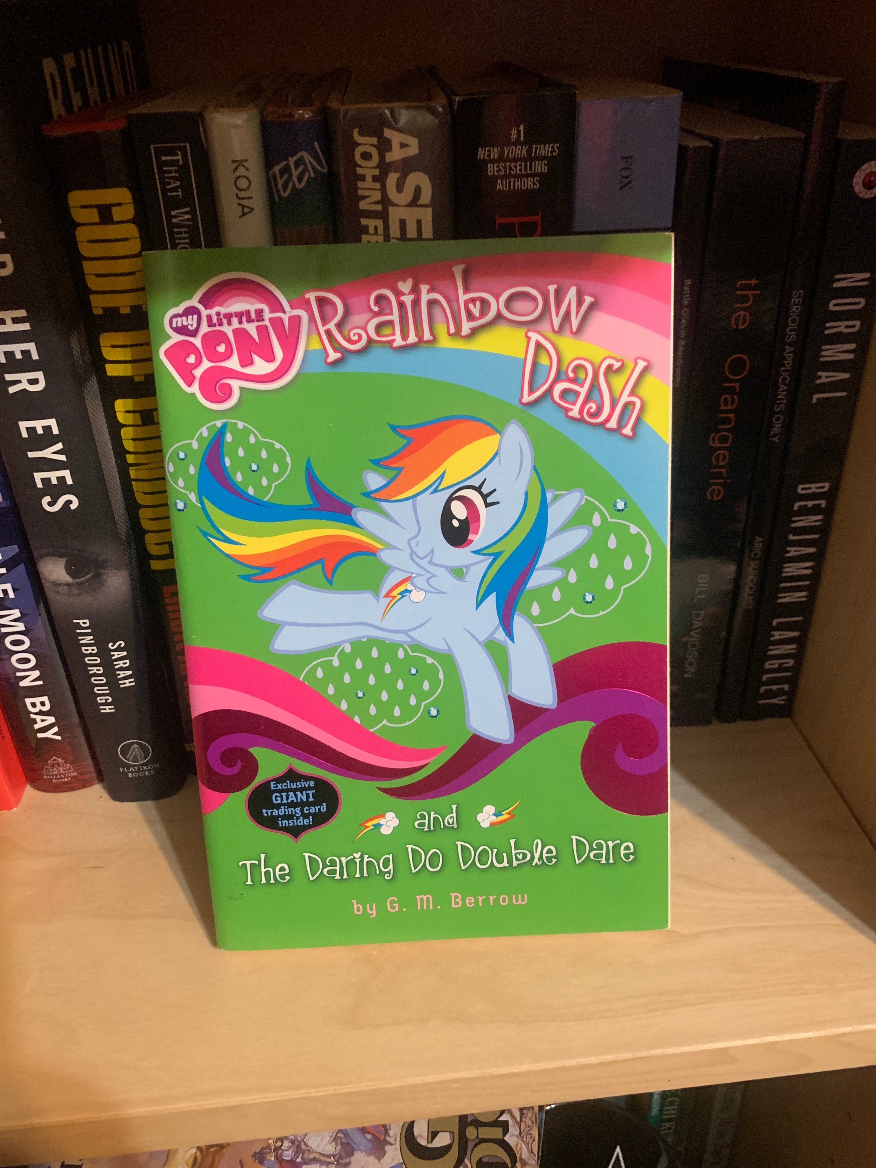 My Little Pony: Rainbow Dash and the Daring Do Double Dare