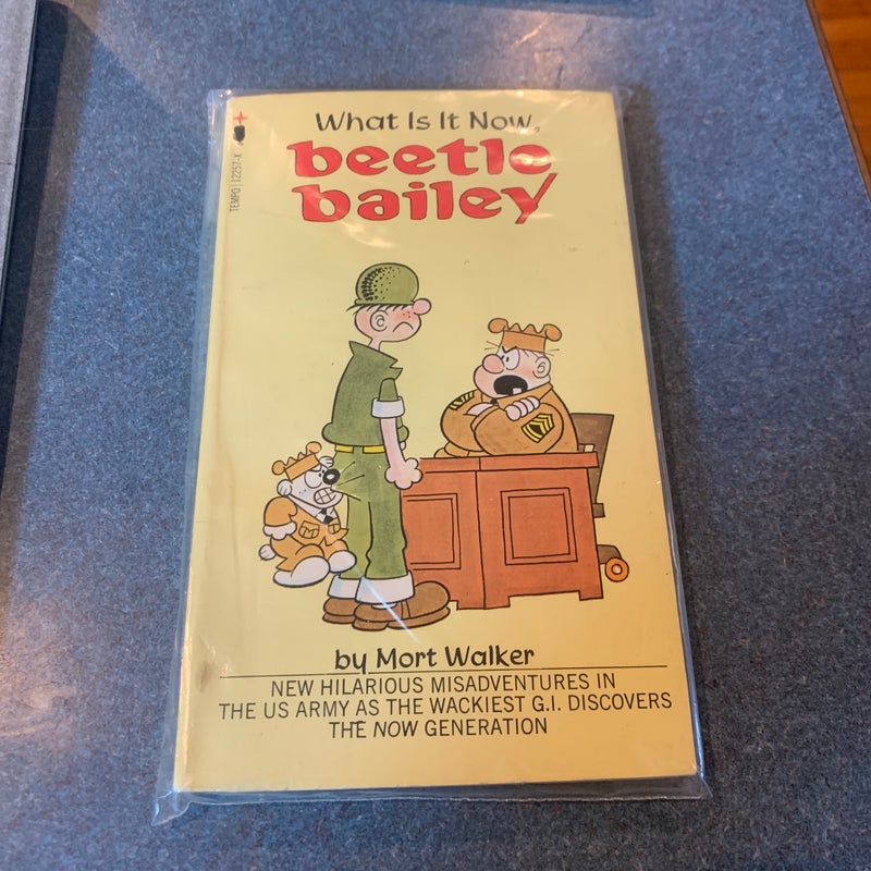 What Is It Now, Beetle Bailey