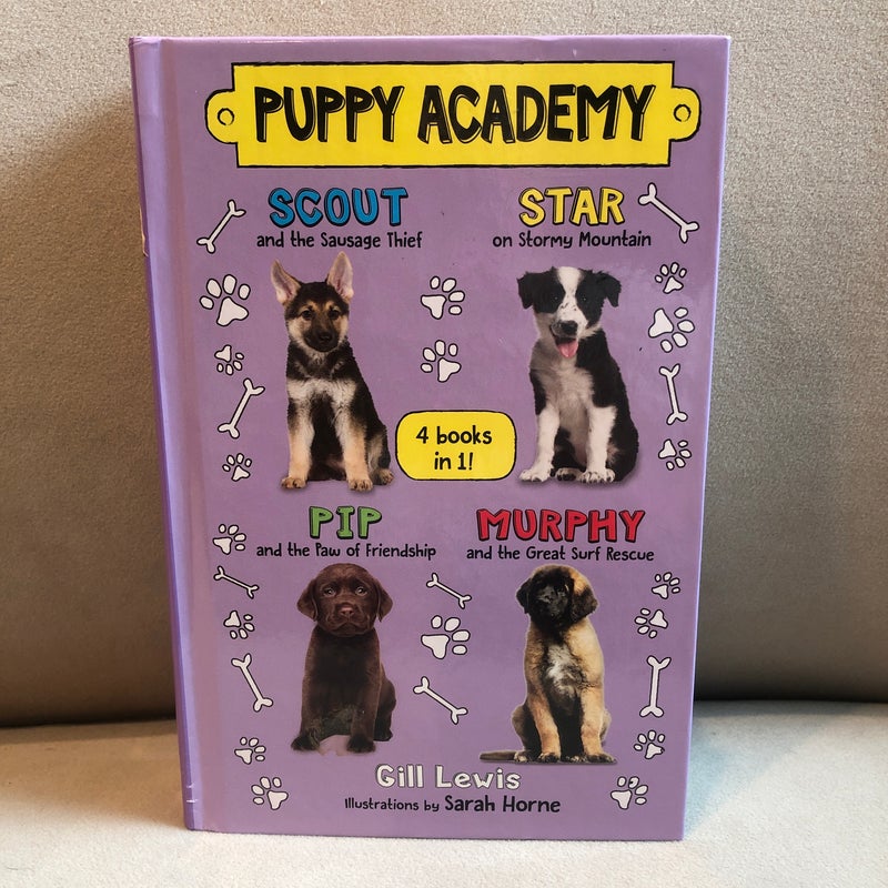 Puppy Academy Bindup Books 1-4: Scout and the Sausage Thief, Star on Stormy Mountain, Pip and the Paw of Friendship, Murphy and the Great Surf Rescue