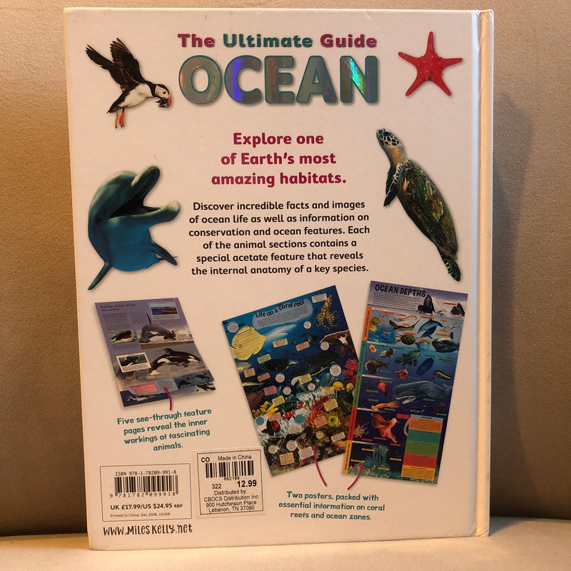 Ultimate Guide - Ocean