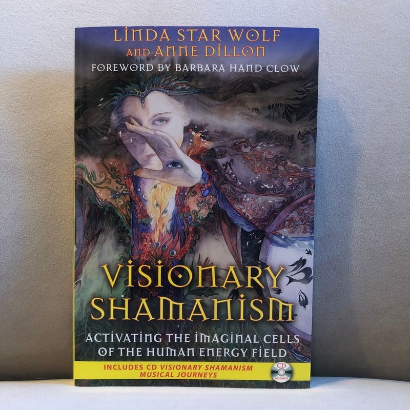 Visionary Shamanism