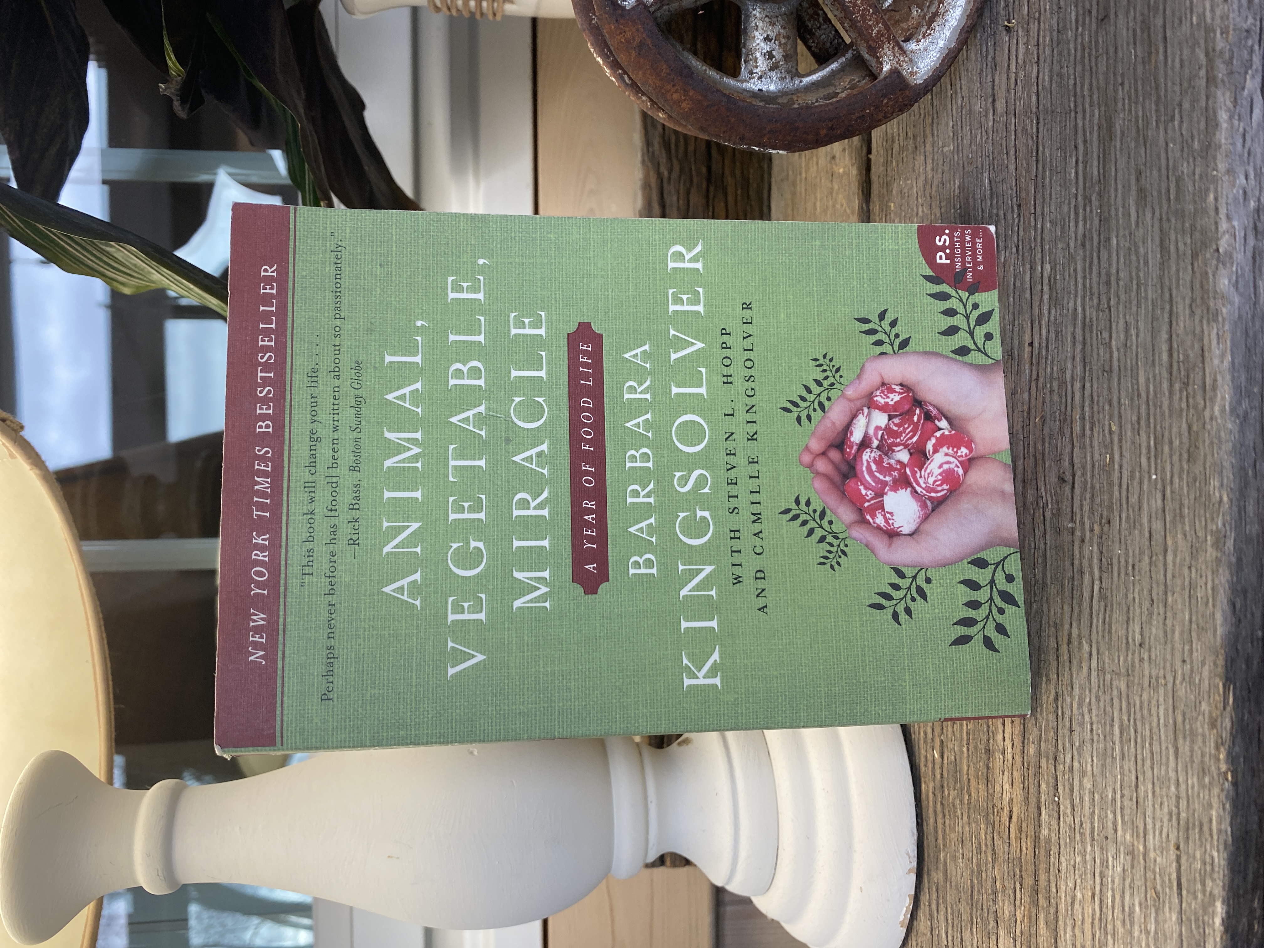 Animal, Vegetable, Miracle