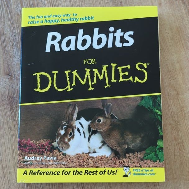 Rabbits for Dummies