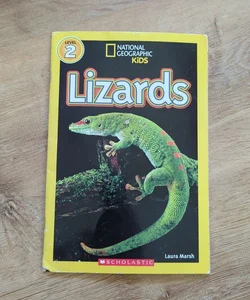 Lizards 