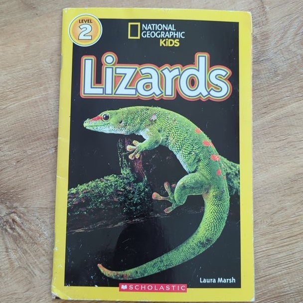 Lizards 