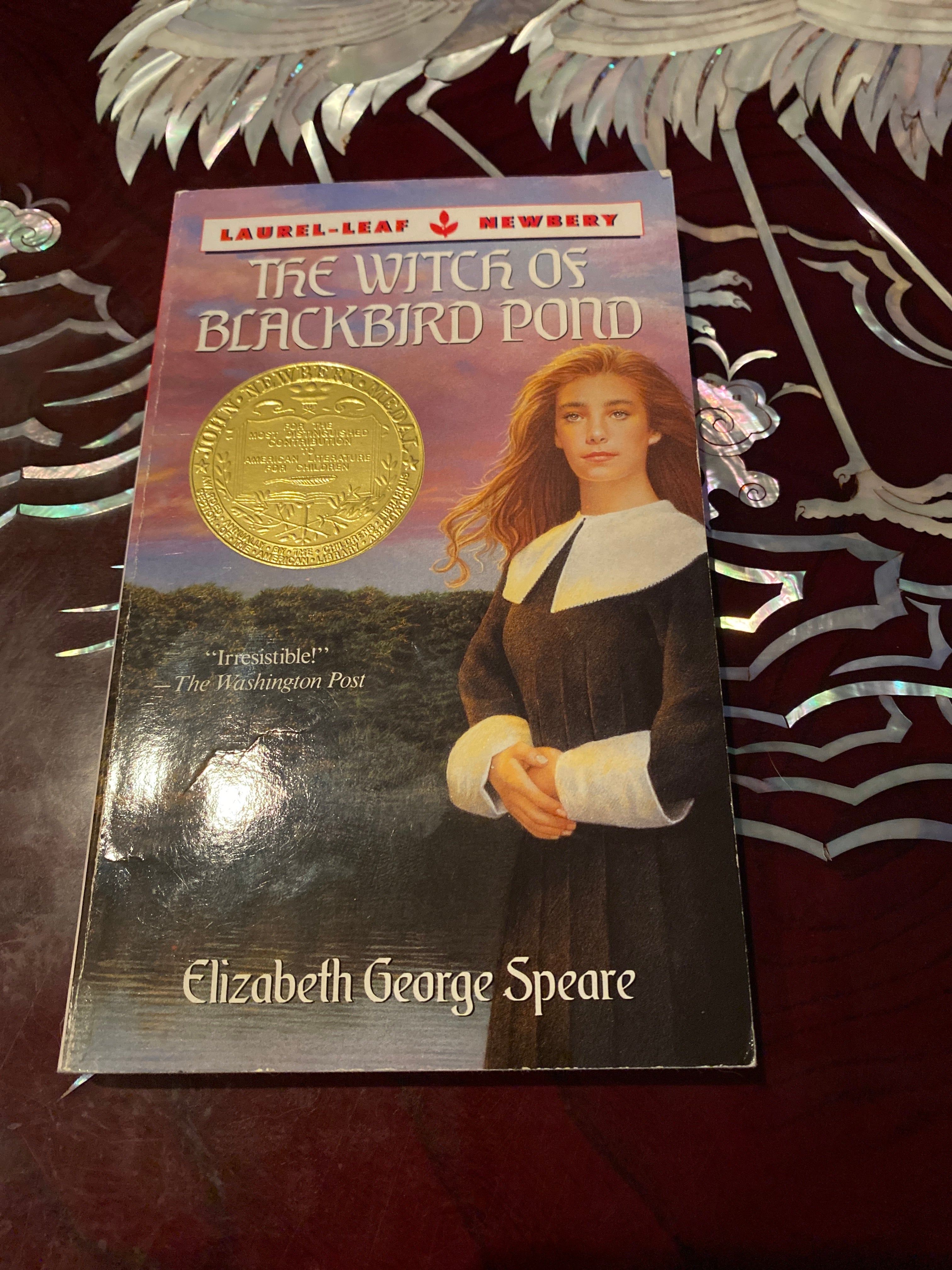 The Witch of Blackbird Pond