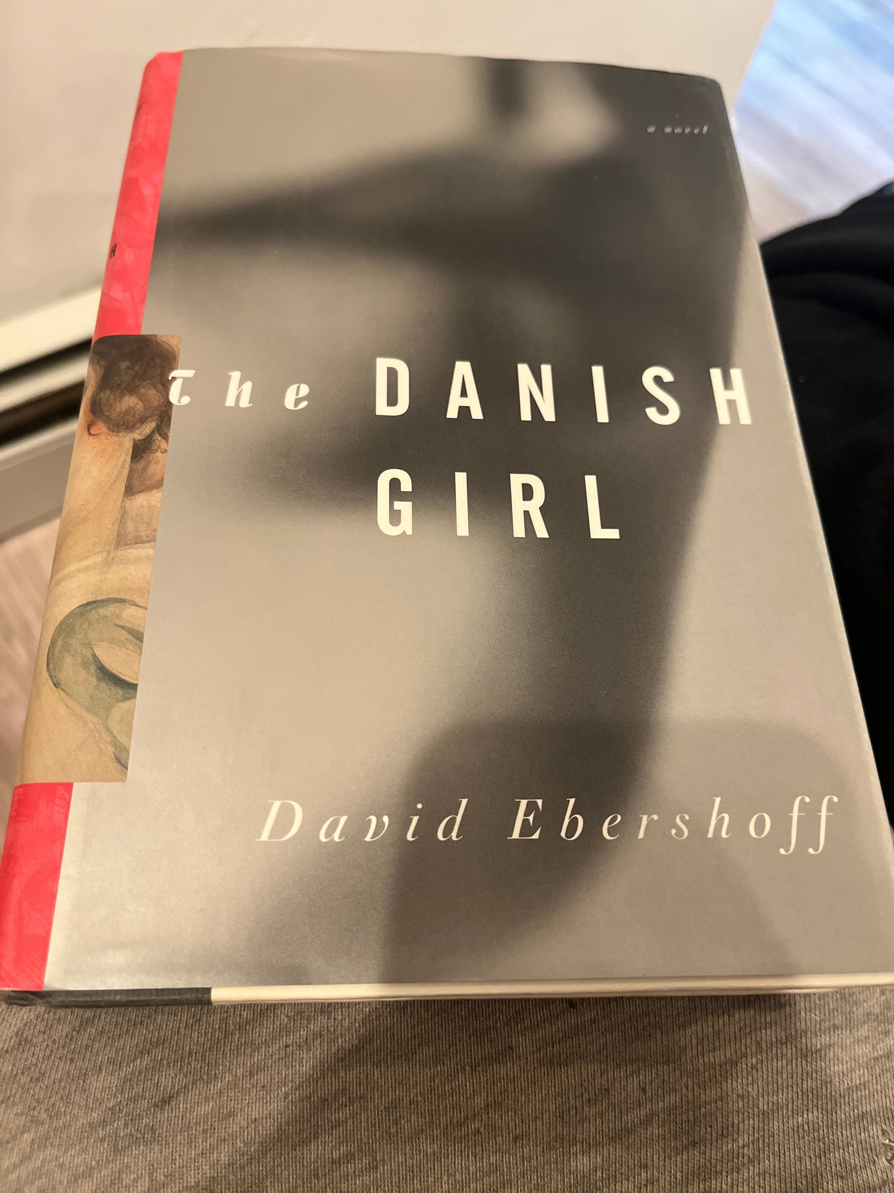 The Danish Girl