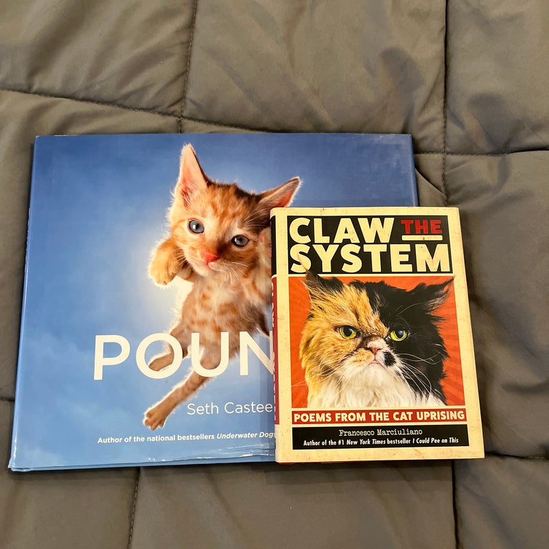 Claw the System and pounce