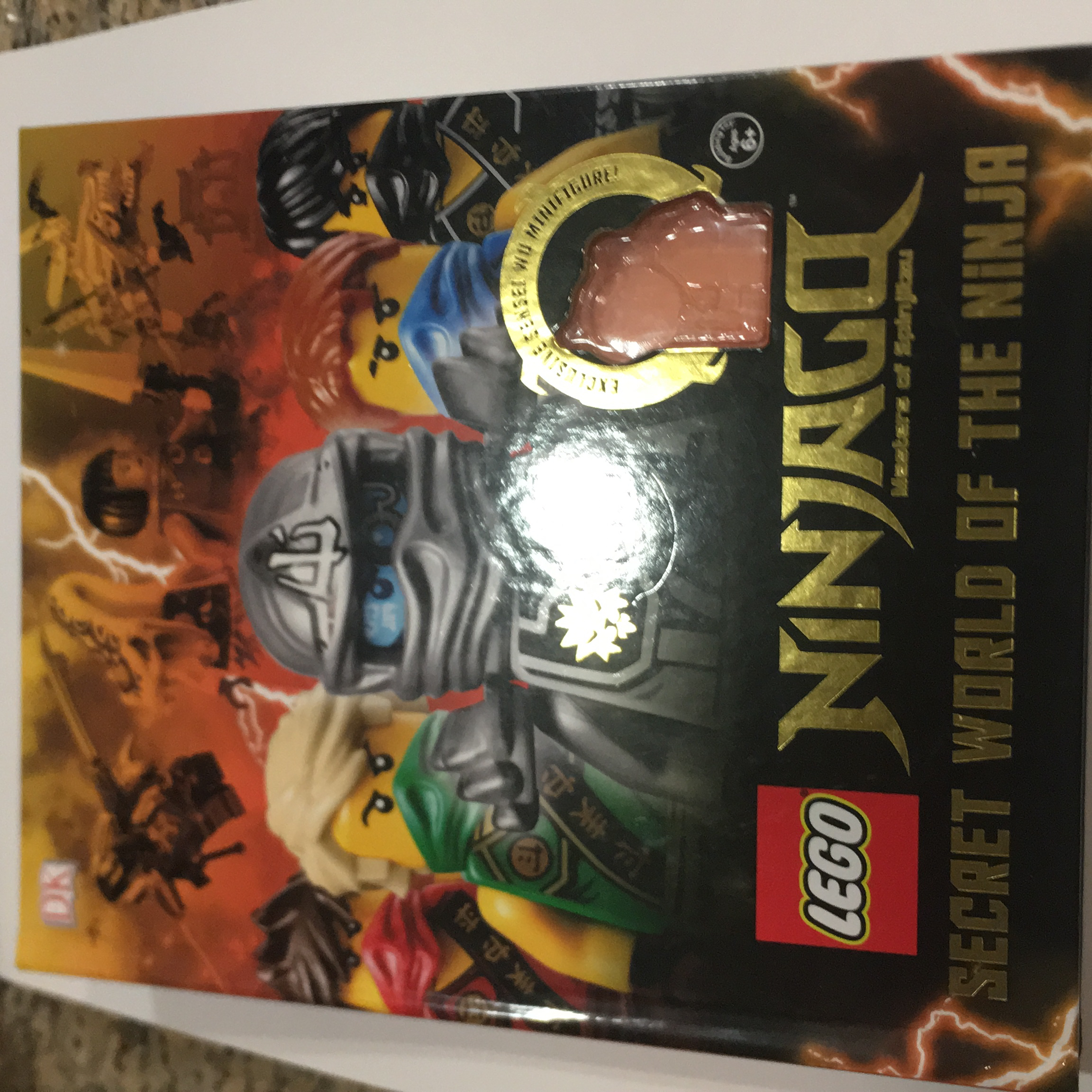 Secret world of the ninja