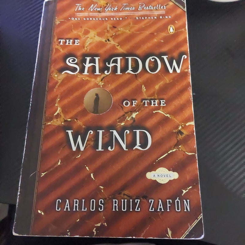 The Shadow of the Wind