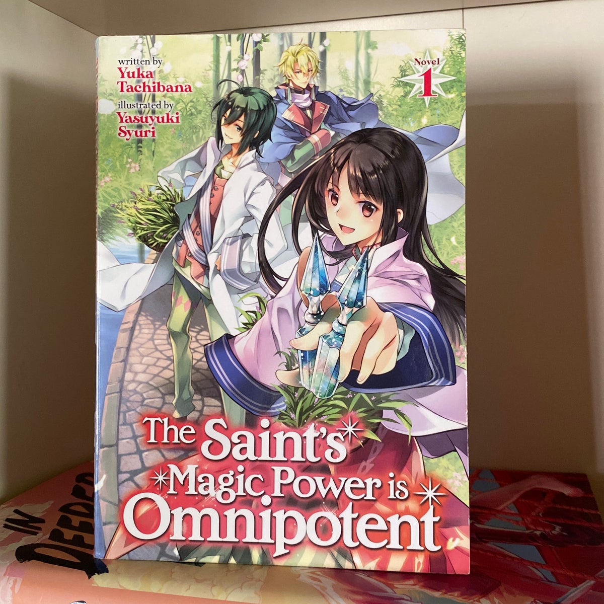 The Saint's Magic Power is Omnipotent (Light Novel)