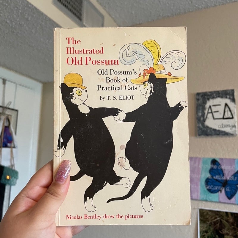 The Illustrated Old Possum: Old Possum’s book of practical cats by T.S.  Eliot, Paperback | Pangobooks