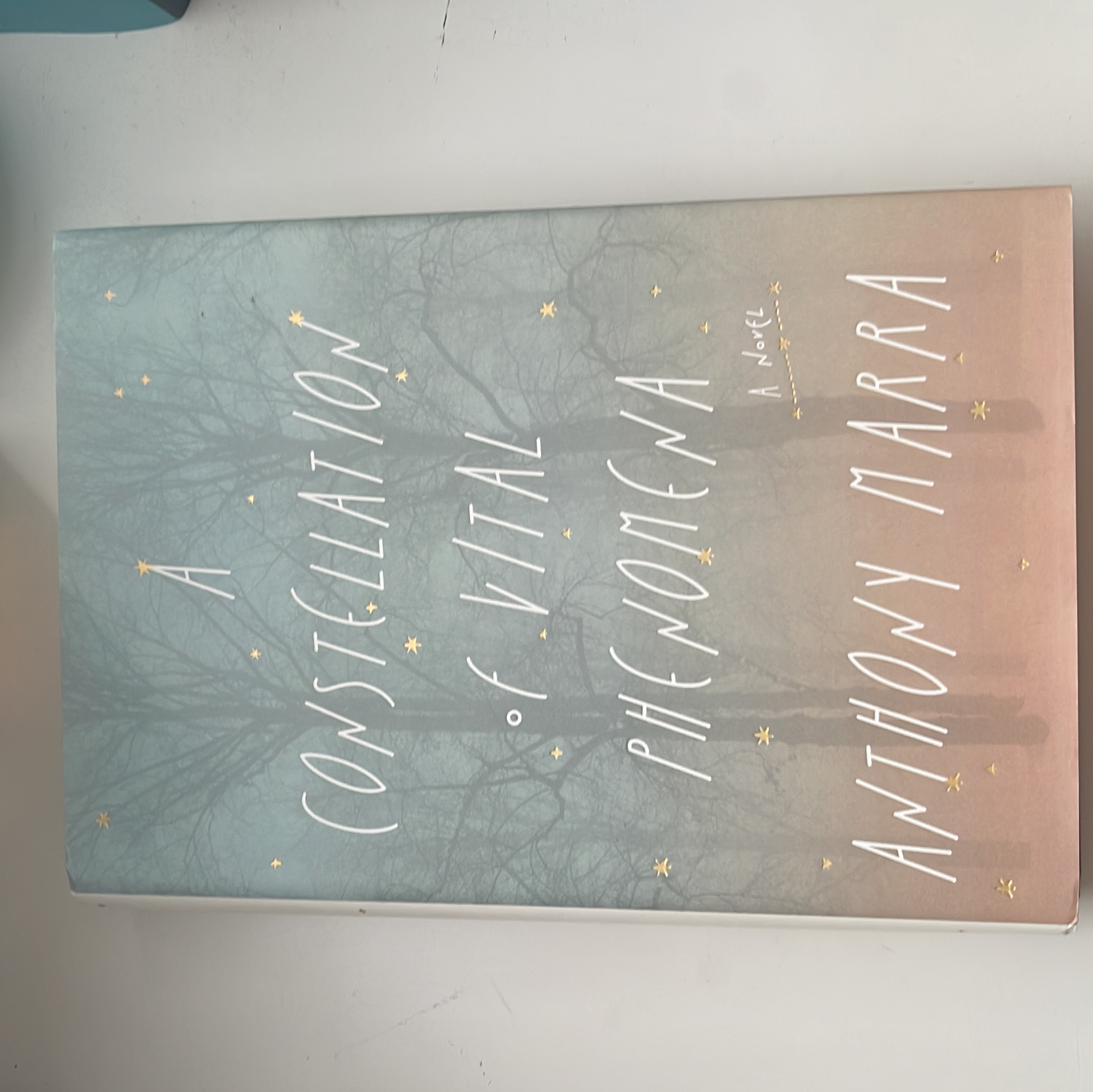 Sale image for 0d0de3fd-ec94-4bc2-8d9d-a4eac6ed88ec-10NyVsUQLz5jAZu1ljPV9X