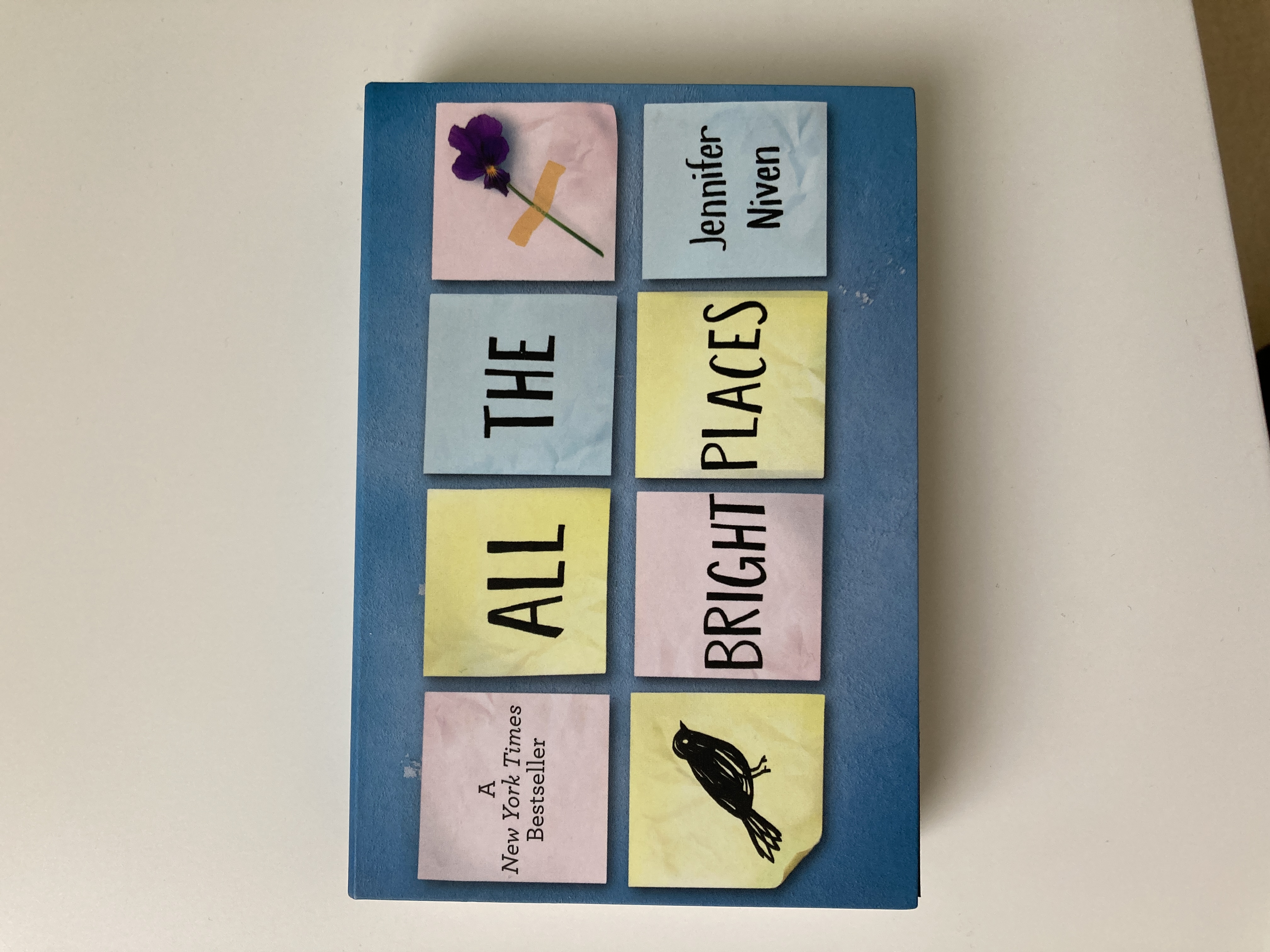 Random Minis: All the Bright Places