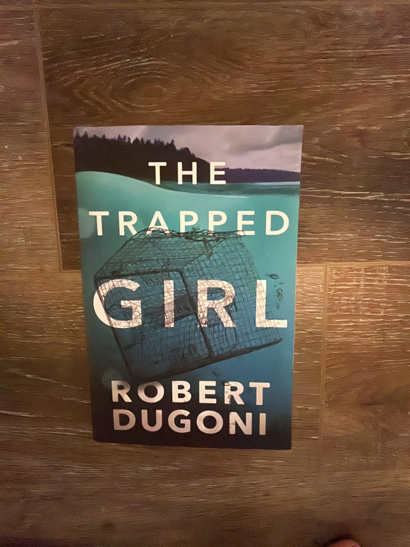 The Trapped Girl