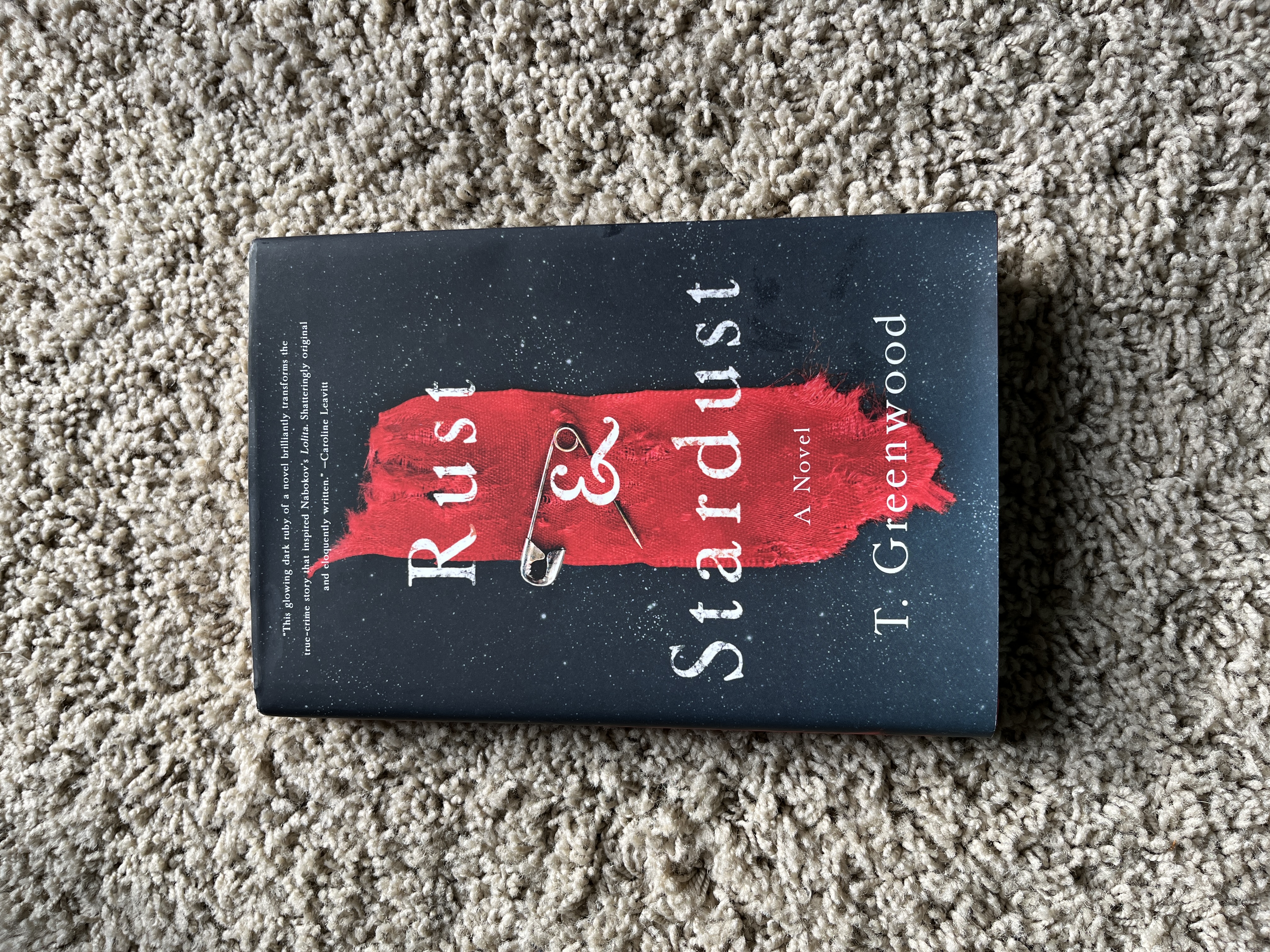 Rust and Stardust book cover