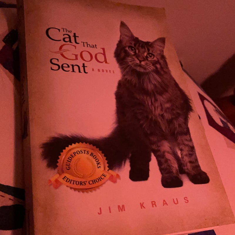 The cat that god sent