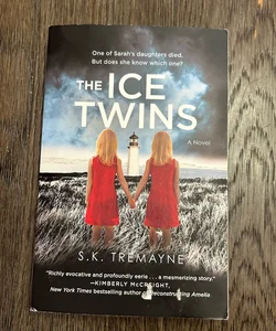 The Ice Twins