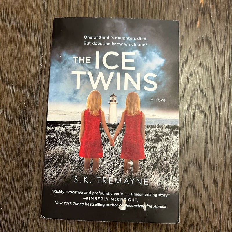 The Ice Twins