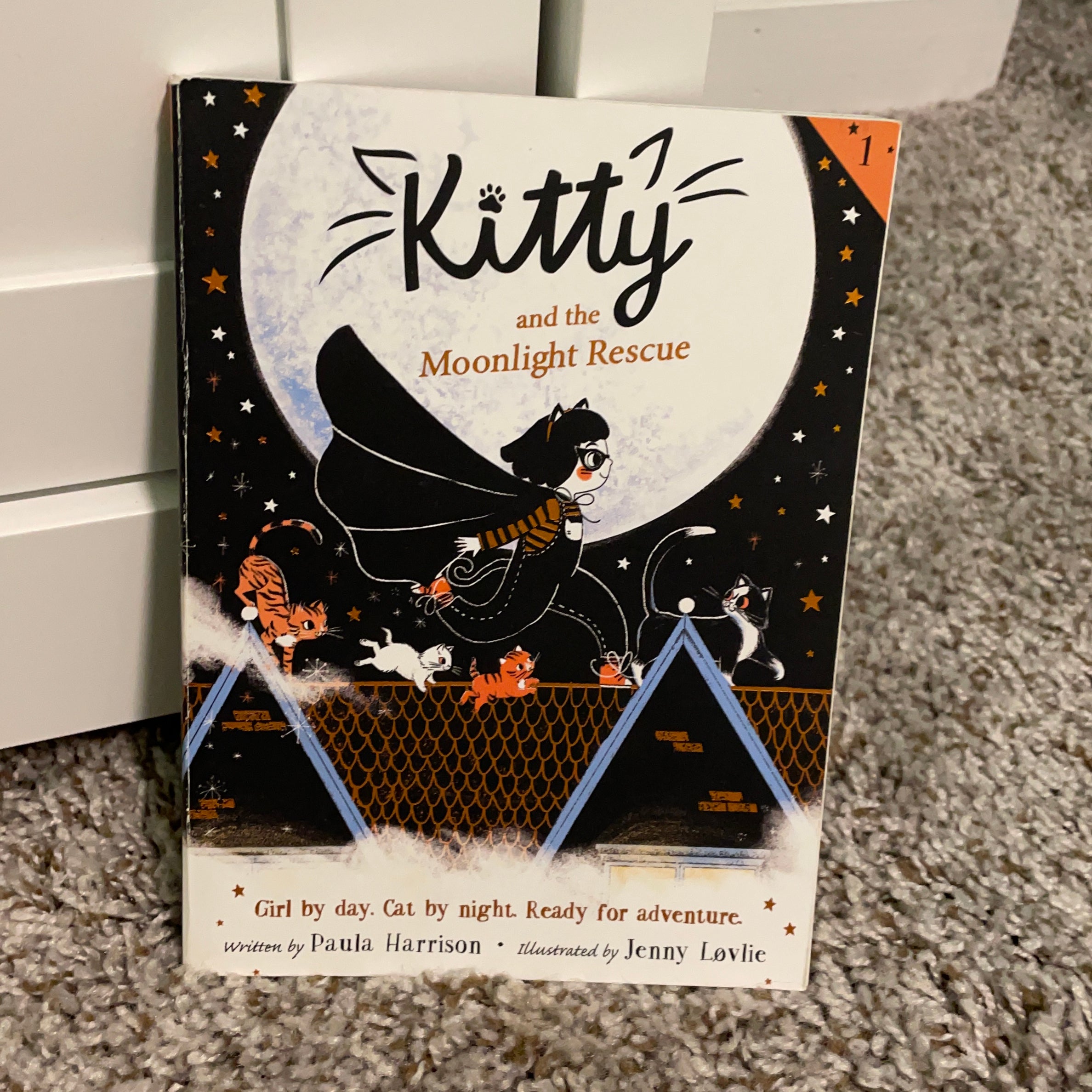 Kitty and the Moonlight Rescue