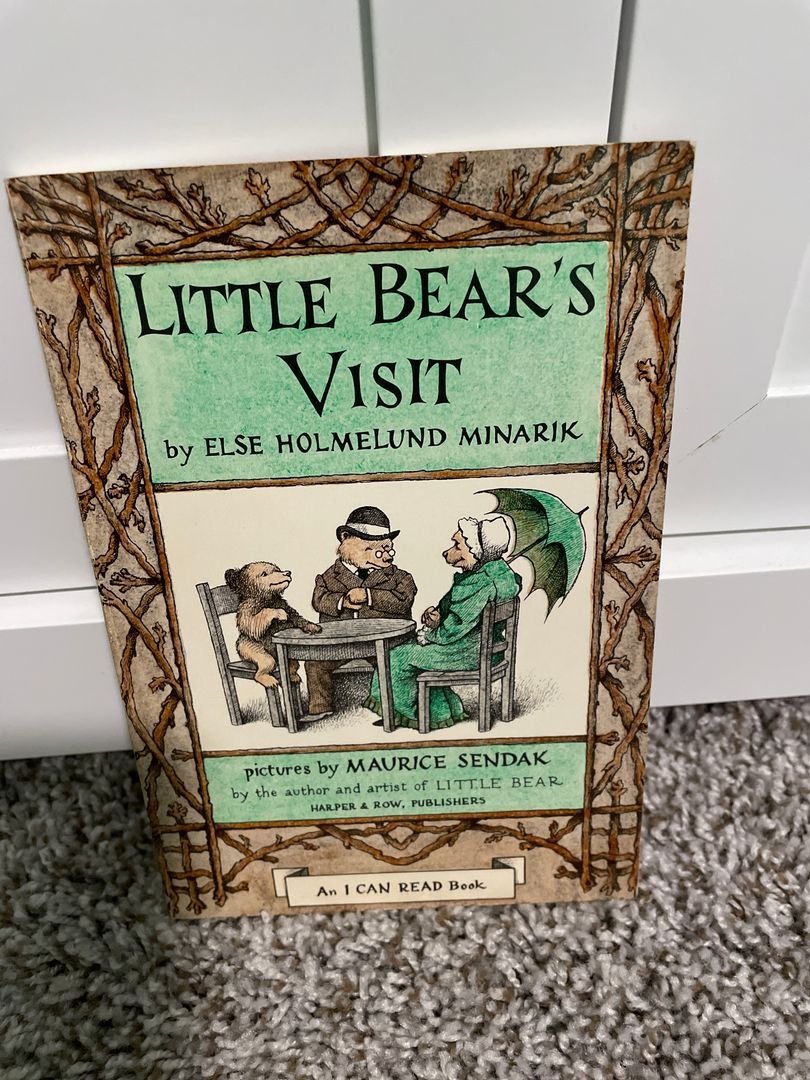 Little Bear's Visit