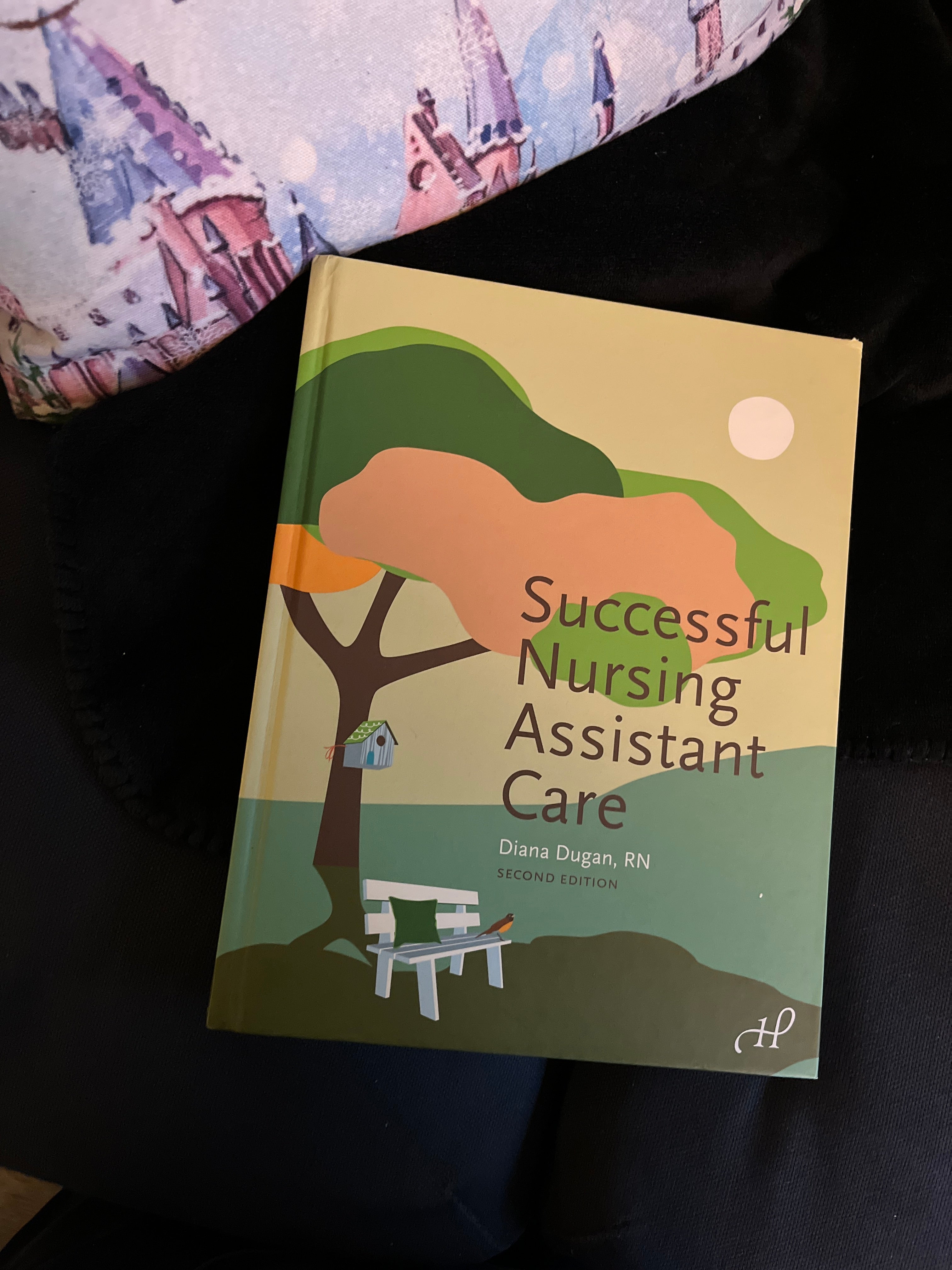 Successful Nursing Assistant Care, 2nd Edition