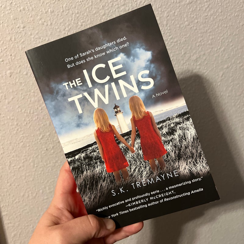 The Ice Twins