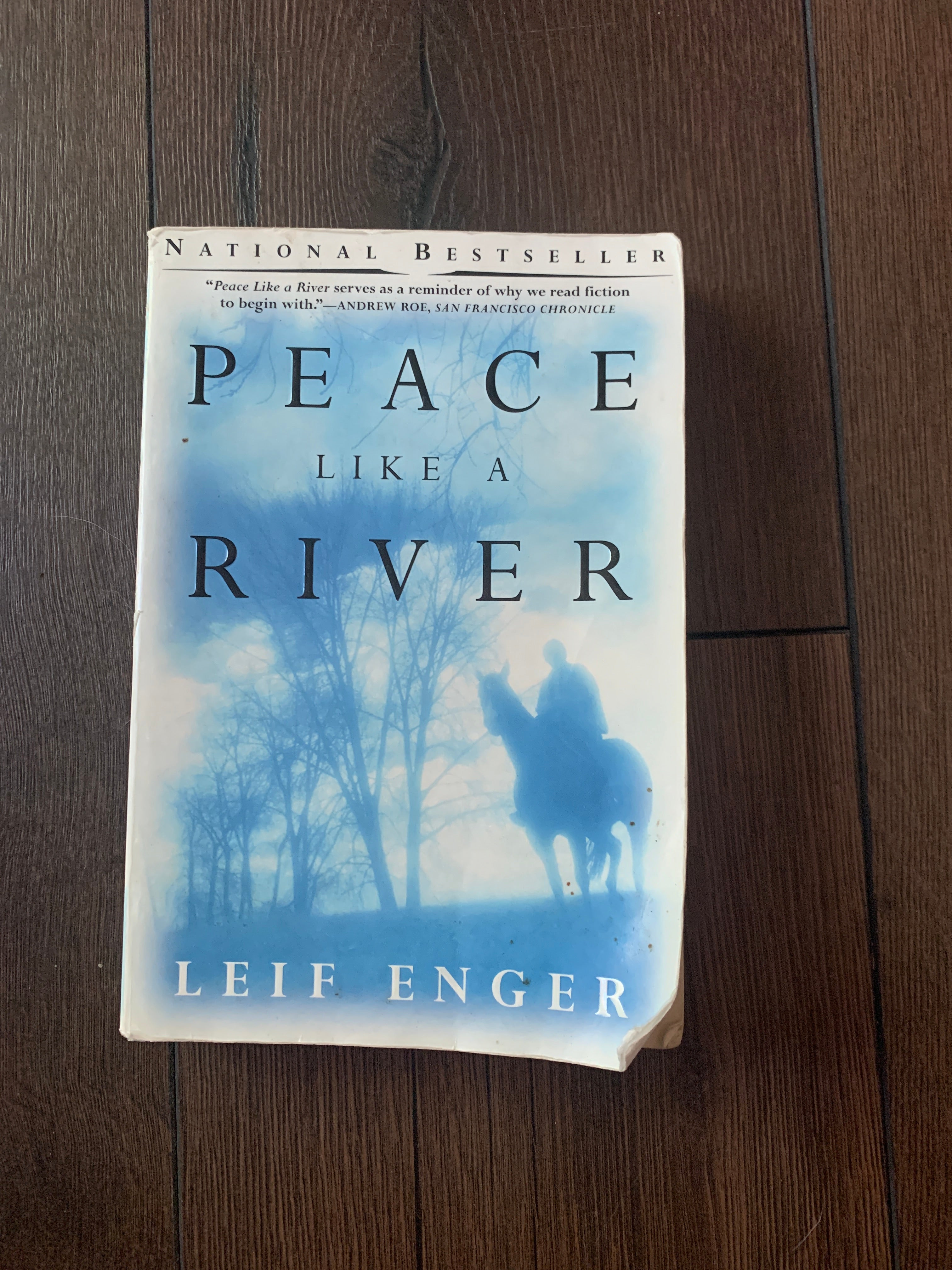 Peace Like a River