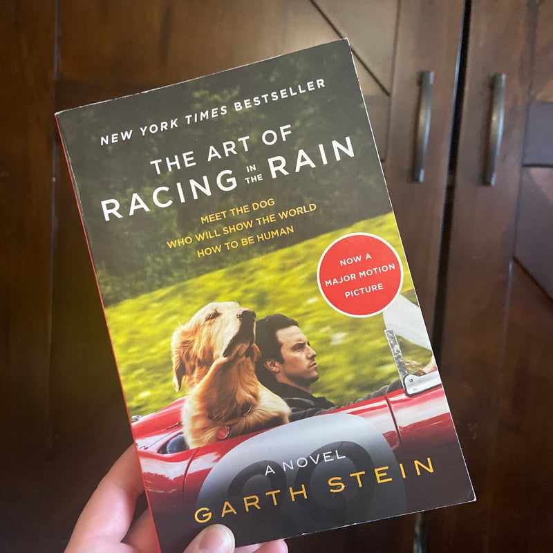 The Art of Racing in the Rain Tie-In