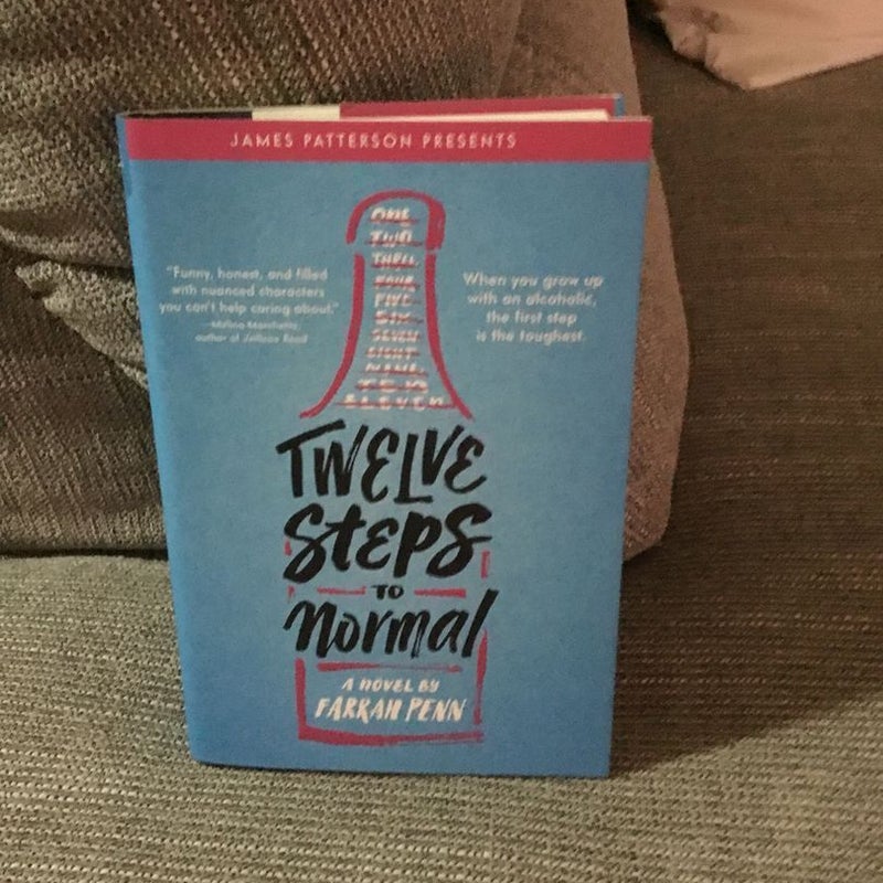 Twelve Steps to Normal