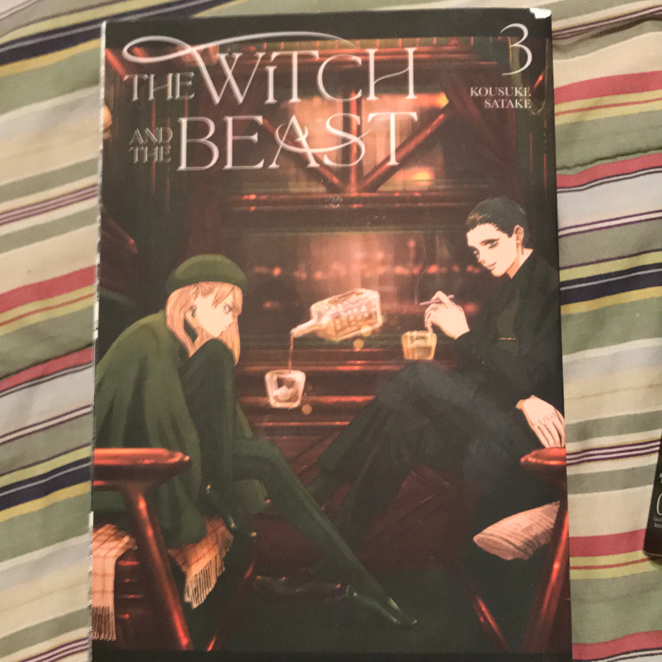 The Witch and the Beast 3