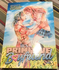 Primitive Boyfriend Vol. 3
