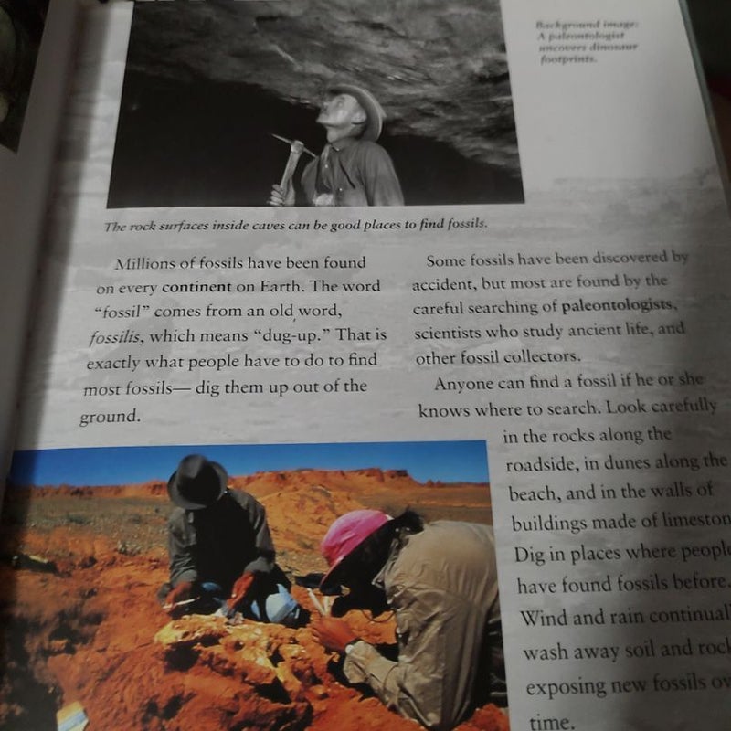 What Fossils Tell Us by Bridget Anderson, Hardcover Pangobooks