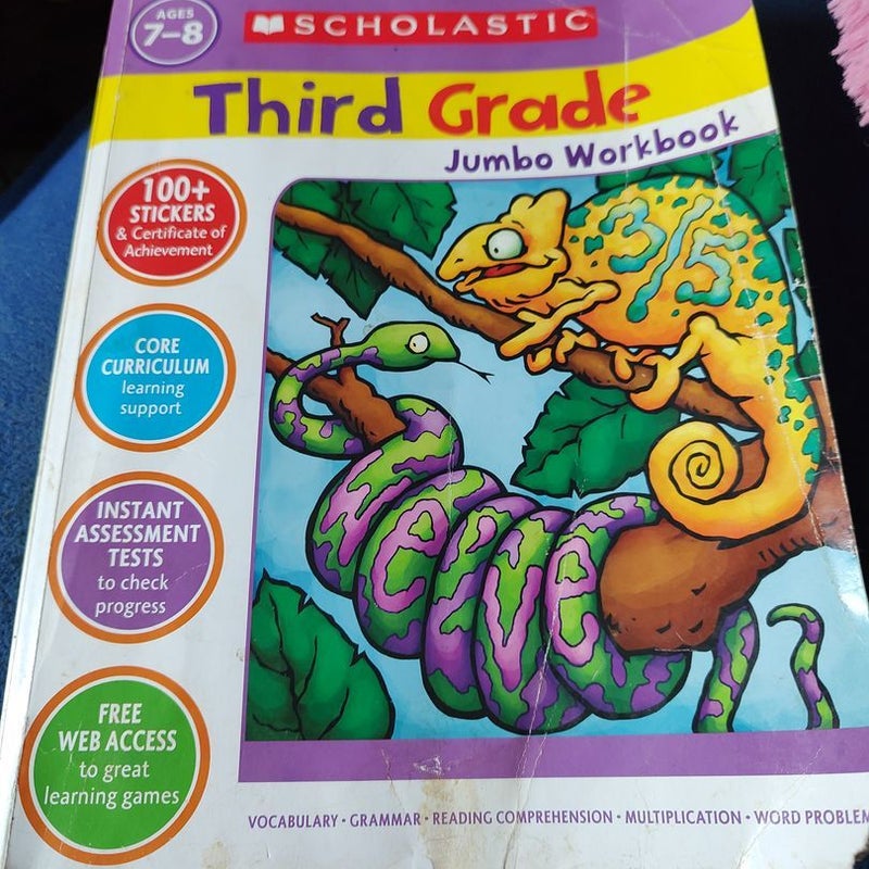 Pre-K Wipe-Clean Workbook: Scholastic Early Learners (Wipe-Clean)