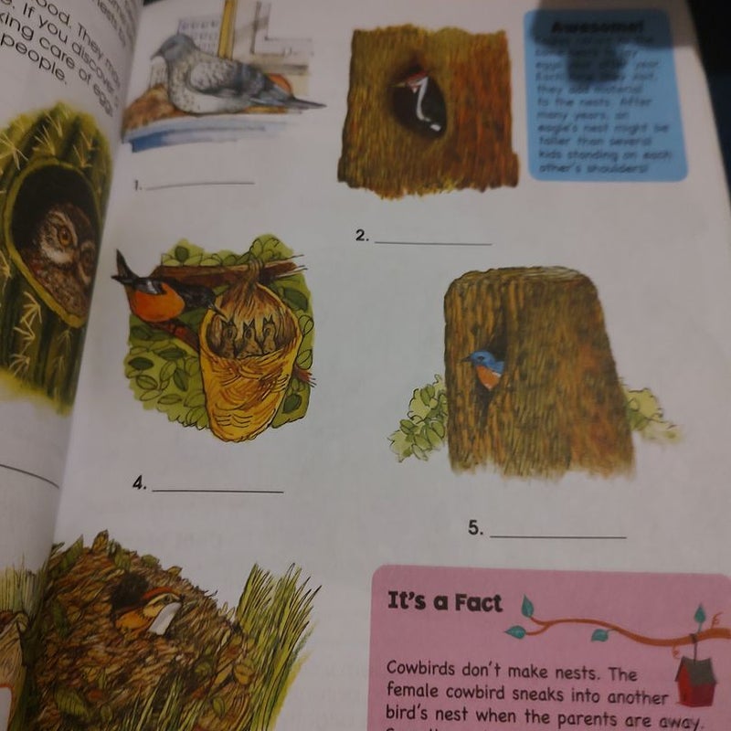 School zone big science 2-3 
